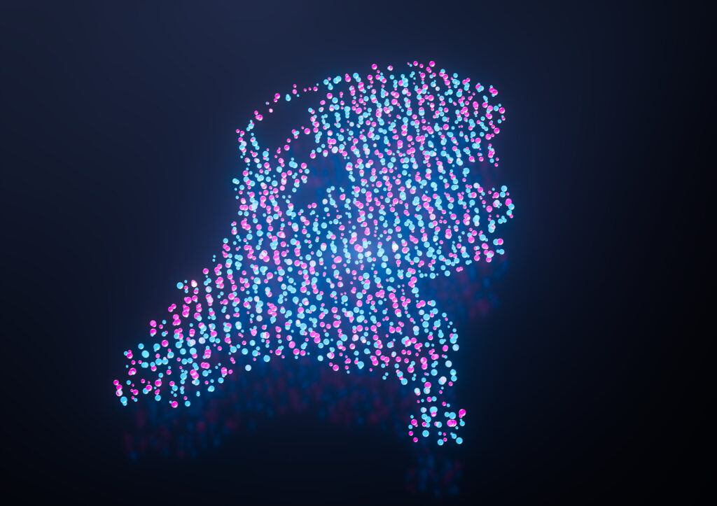 De kracht én kwetsbaarheid van digitaal Nederland
