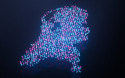 De kracht en kwetsbaarheid van digitaal Nederland